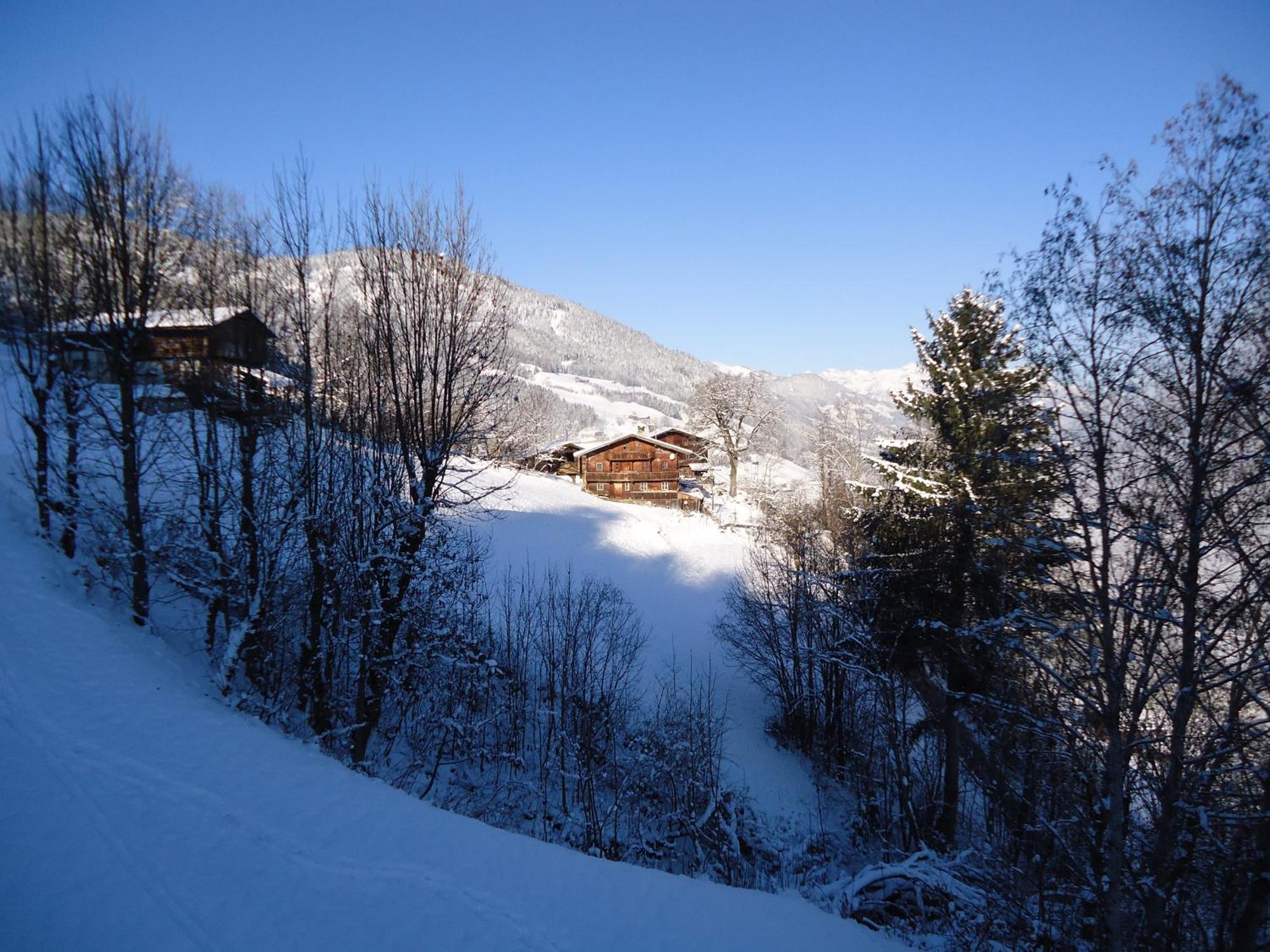 Apart Bianca Zillertal Apartment Kaltenbach Exterior photo